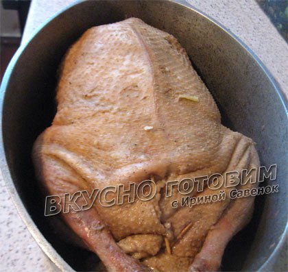 Фаршированный гусь картофелем и яблоками - шаг 3
